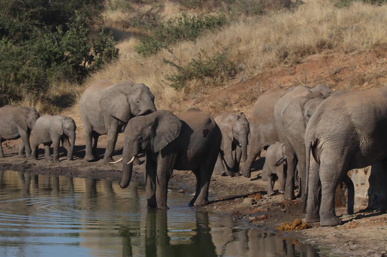 Ku Sungula Safari Lodge Balule Game Reserve Zewnętrze zdjęcie