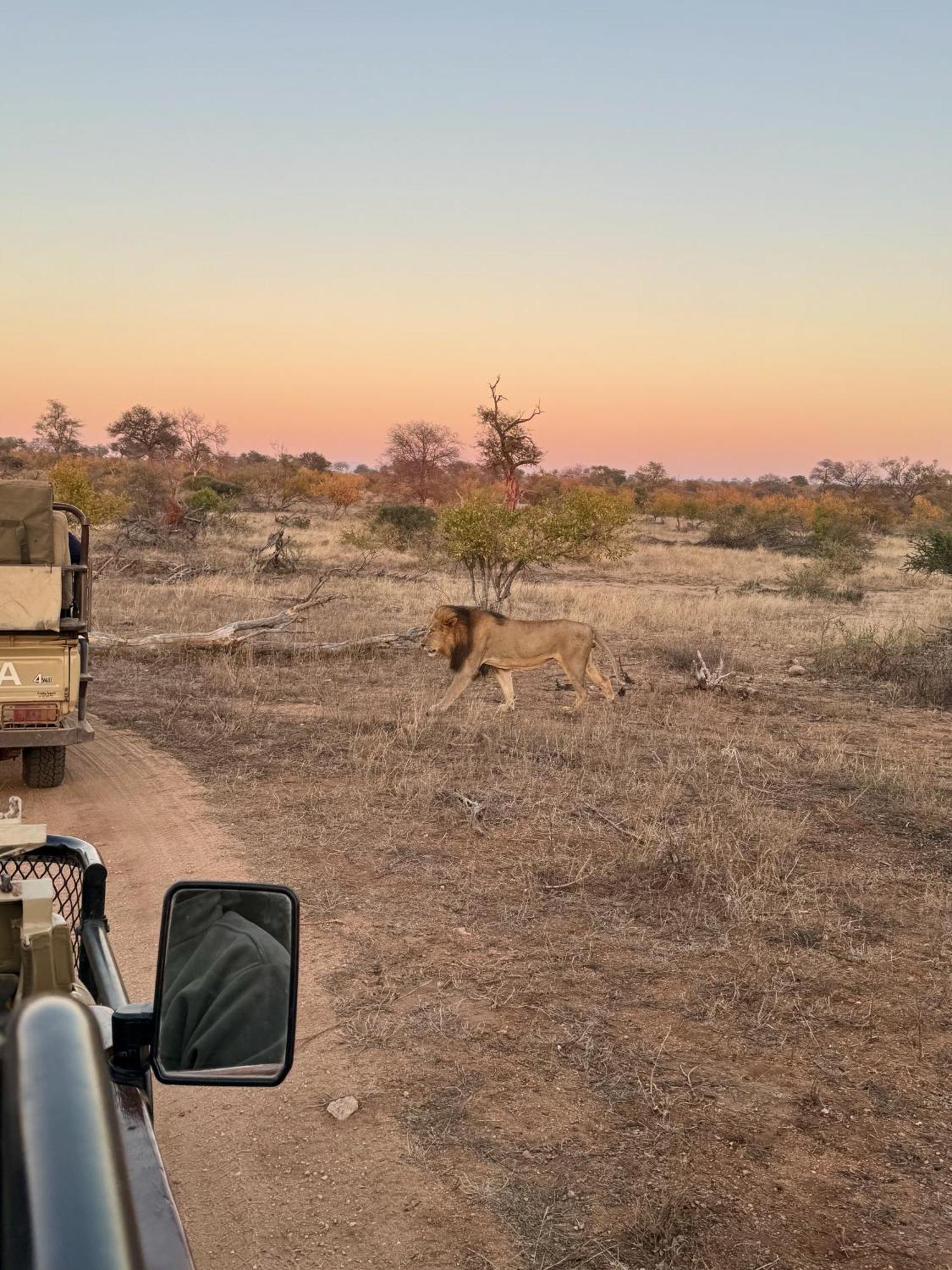 Ku Sungula Safari Lodge Balule Game Reserve Zewnętrze zdjęcie