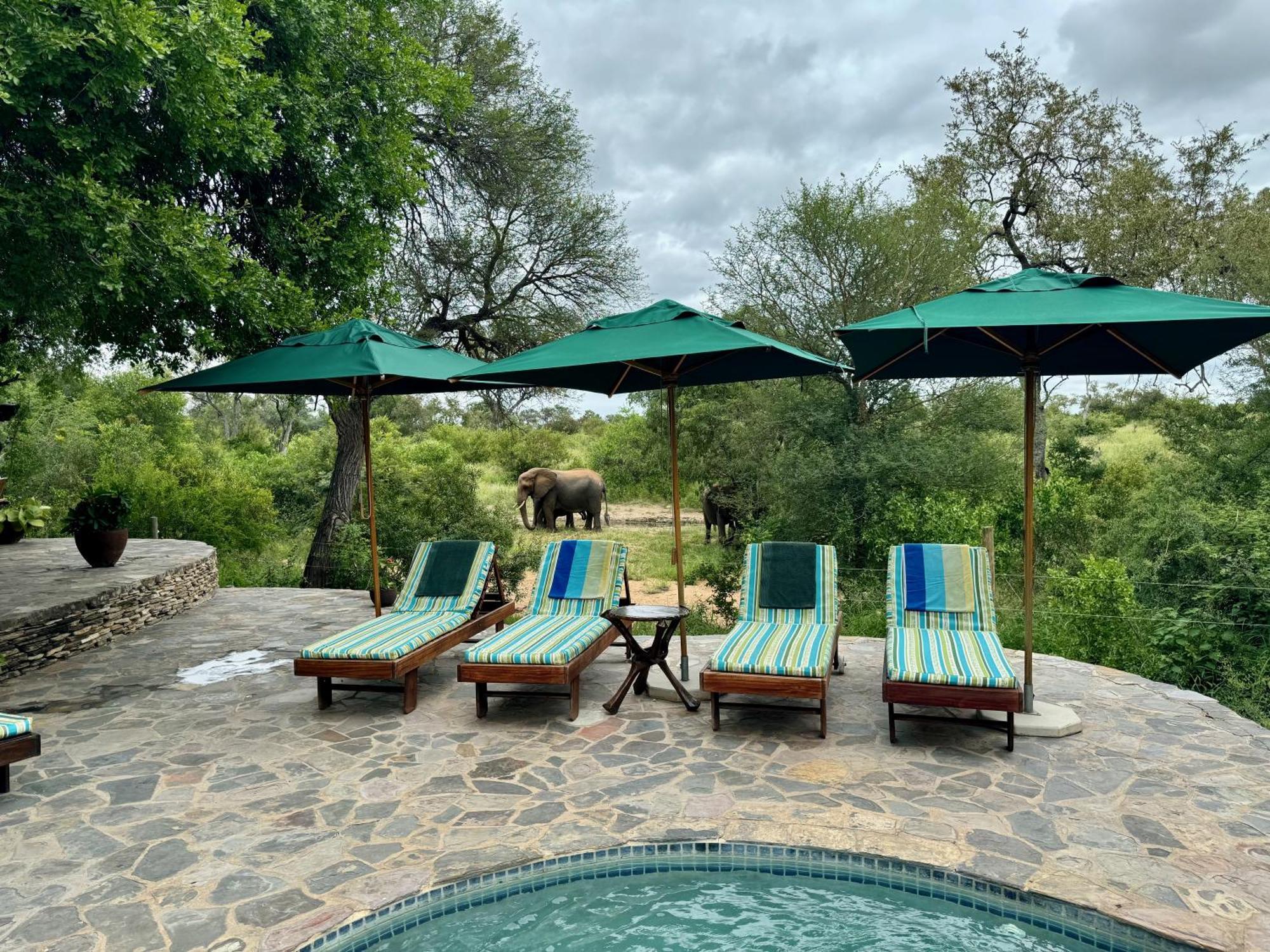 Ku Sungula Safari Lodge Balule Game Reserve Zewnętrze zdjęcie