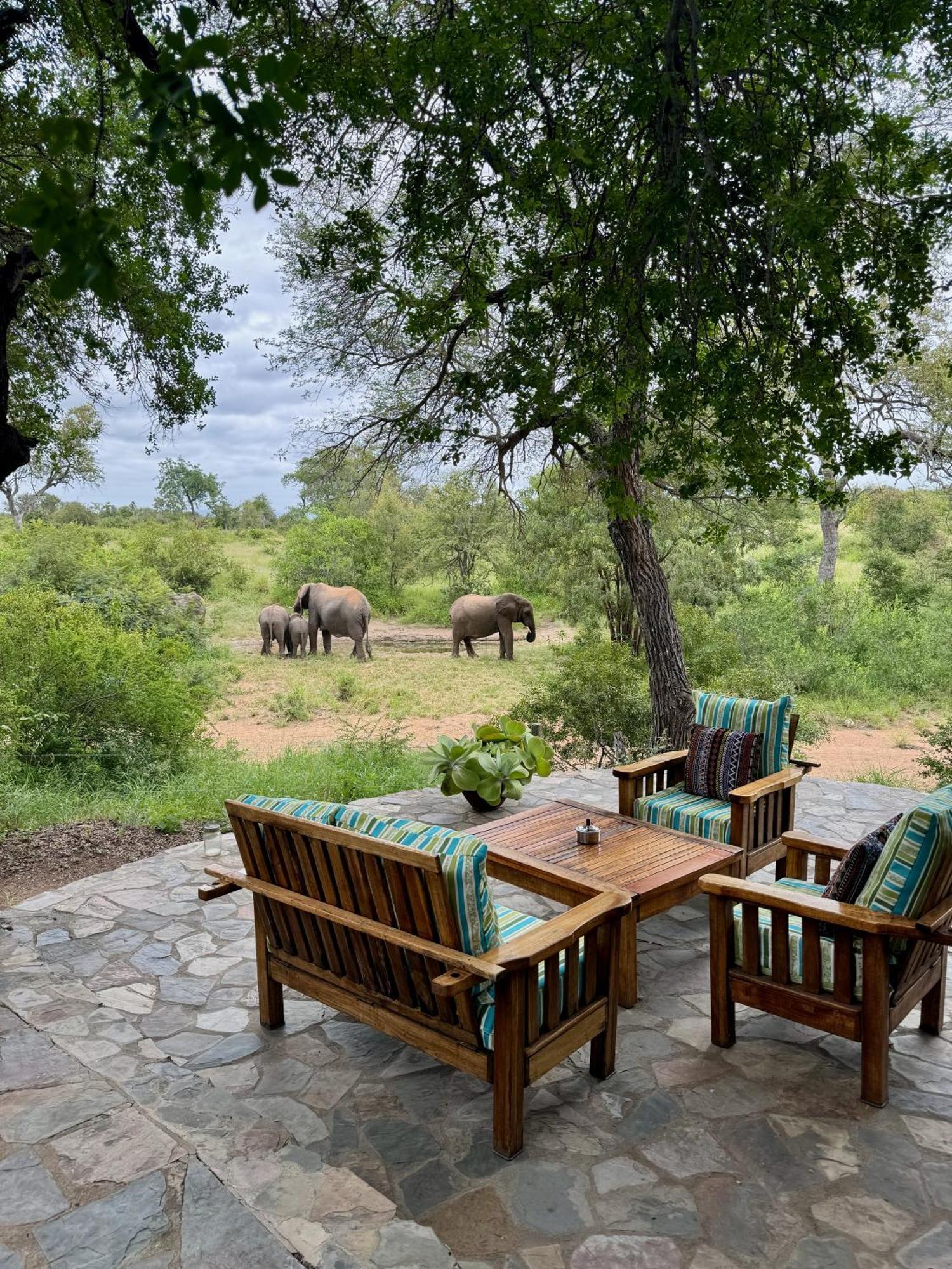 Ku Sungula Safari Lodge Balule Game Reserve Zewnętrze zdjęcie