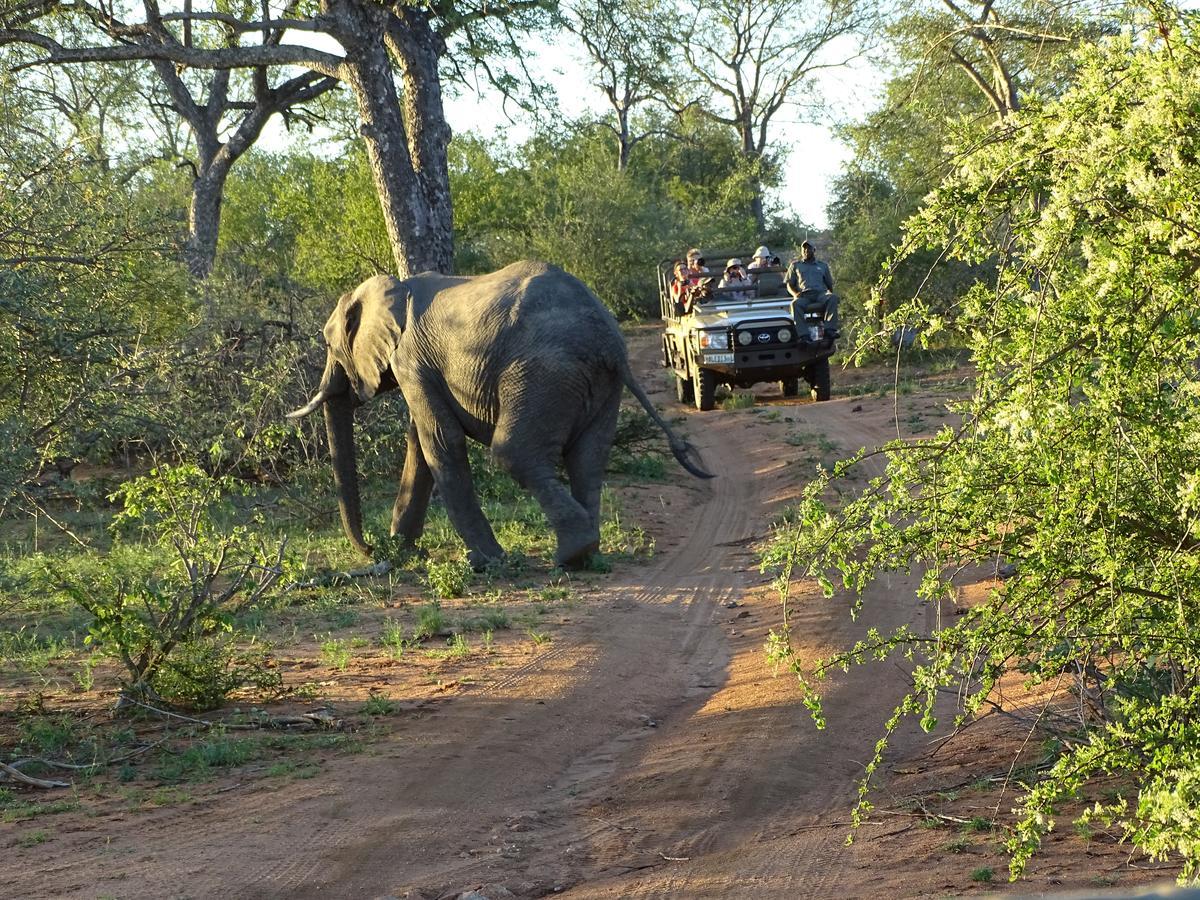 Ku Sungula Safari Lodge Balule Game Reserve Zewnętrze zdjęcie